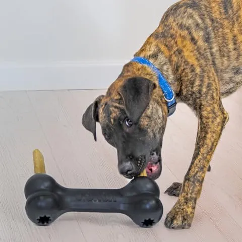 KONG Extreme Goodie Bone Osso in gomma naturale per cani, Nero, X Large - immagine 2