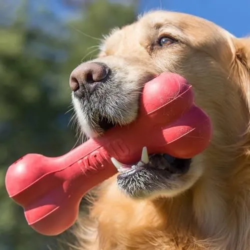 KONG Goodie Bone Osso in gomma naturale per cani, Small (Pack of 2) - immagine 3