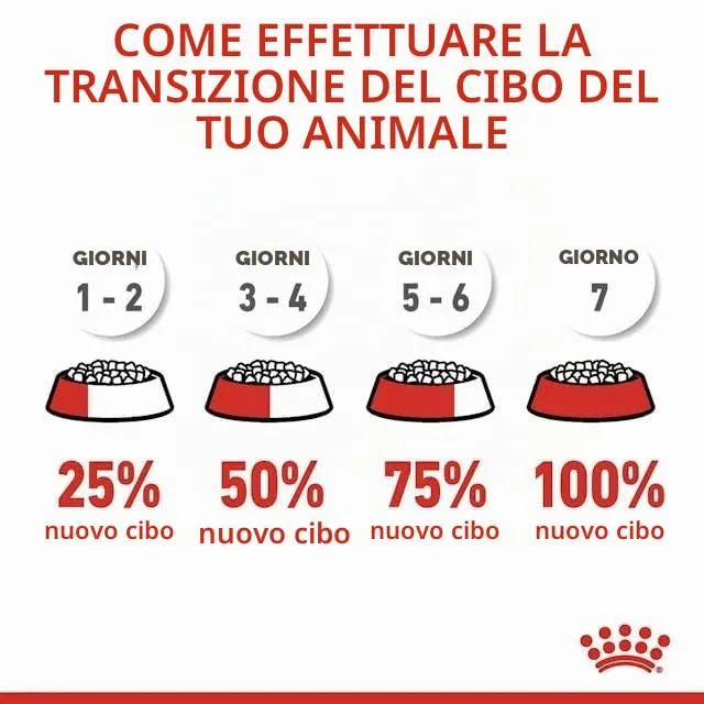 Royal Canin Digestive Care Alimento completo per gatti adulti, 2 x 400 g - immagine 7