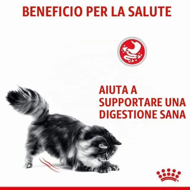 Royal Canin Digestive Care Alimento completo per gatti adulti, 2 x 400 g - immagine 9
