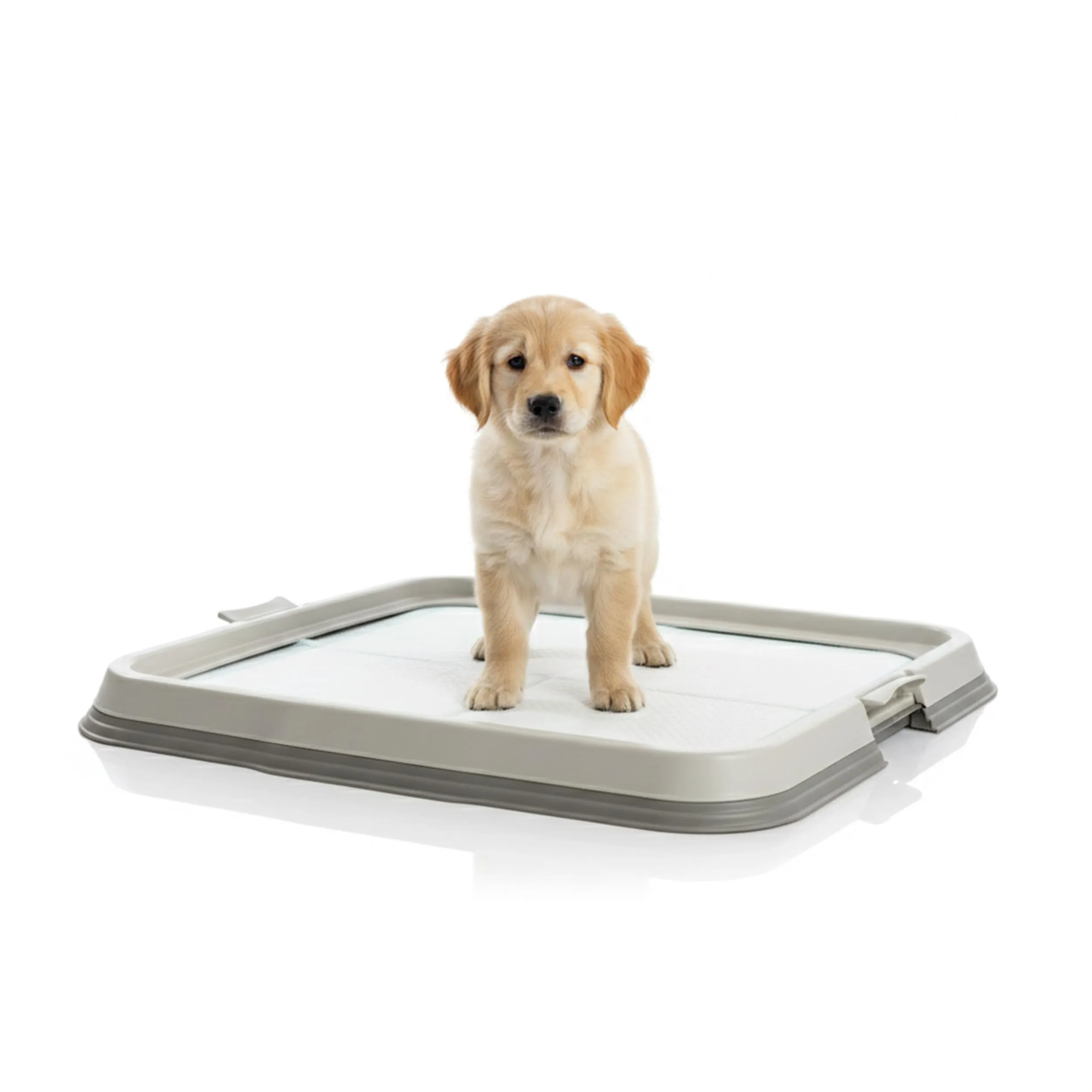 Aqpet Lettiera per Cani con Vassoio Porta Tappetini Assorbenti 60x60 cm, Base Antiscivolo - immagine 1