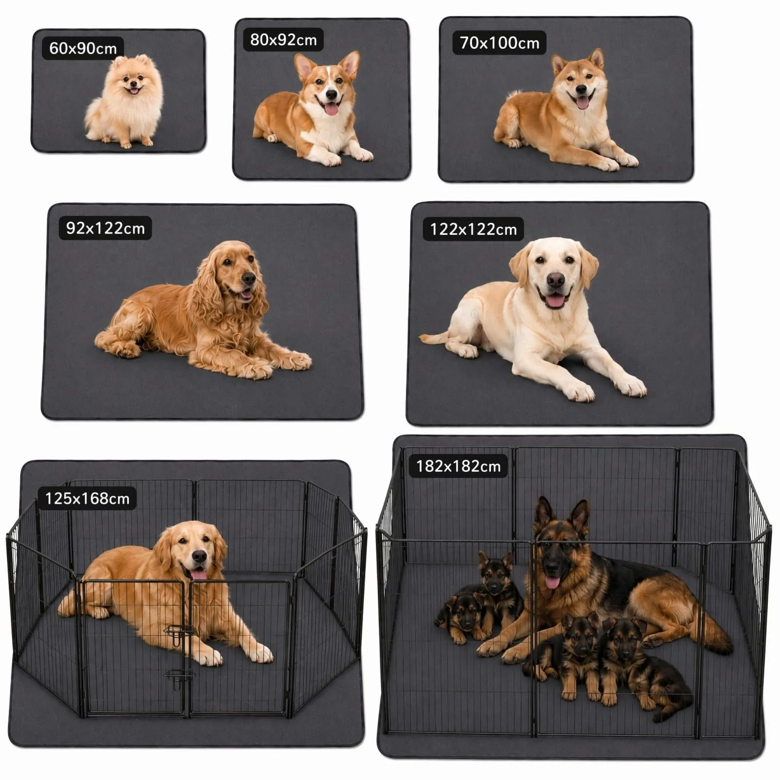 Mulyenwa Traversine Cani Lavabili e Riutilizzabili, 70x100 cm, 2 Pezzi - immagine 2