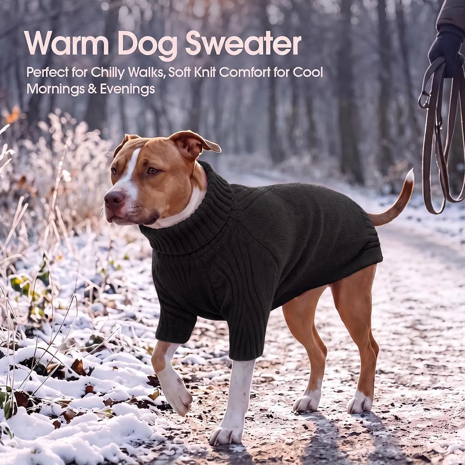 IECOii Maglione a collo alto per cani - immagine 6