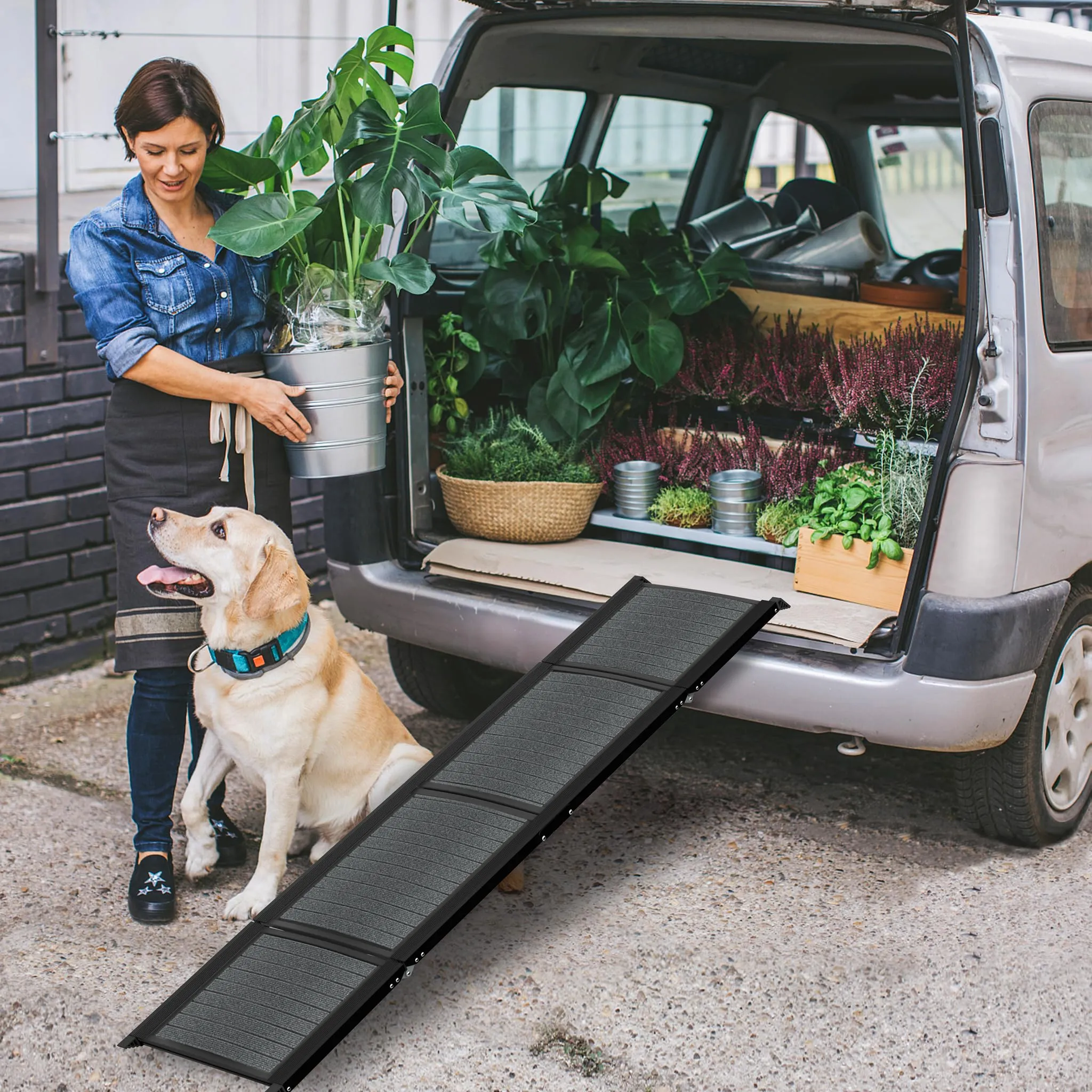 Froadp Rampa per cani pieghevole in alluminio, 157 x 43 cm, nera - immagine 9