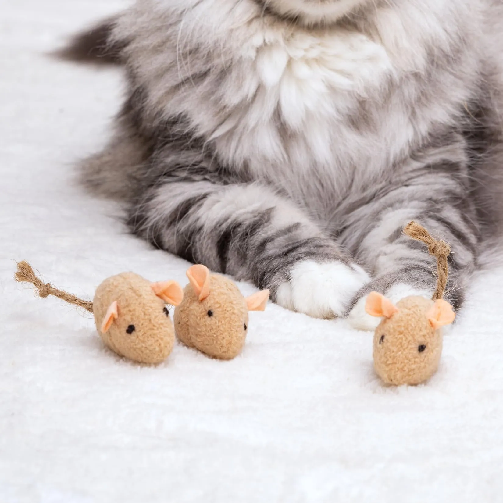 Fackelmann Giocattoli per gatti a forma di topolino in cotone, set da 3 pezzi - immagine 3