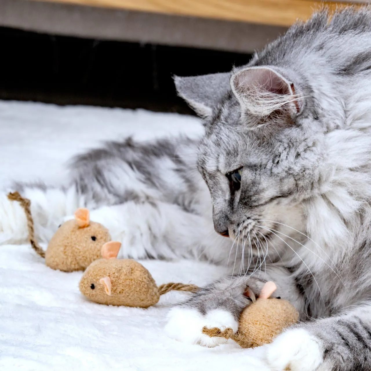 Fackelmann Giocattoli per gatti a forma di topolino in cotone, set da 3 pezzi - immagine 5