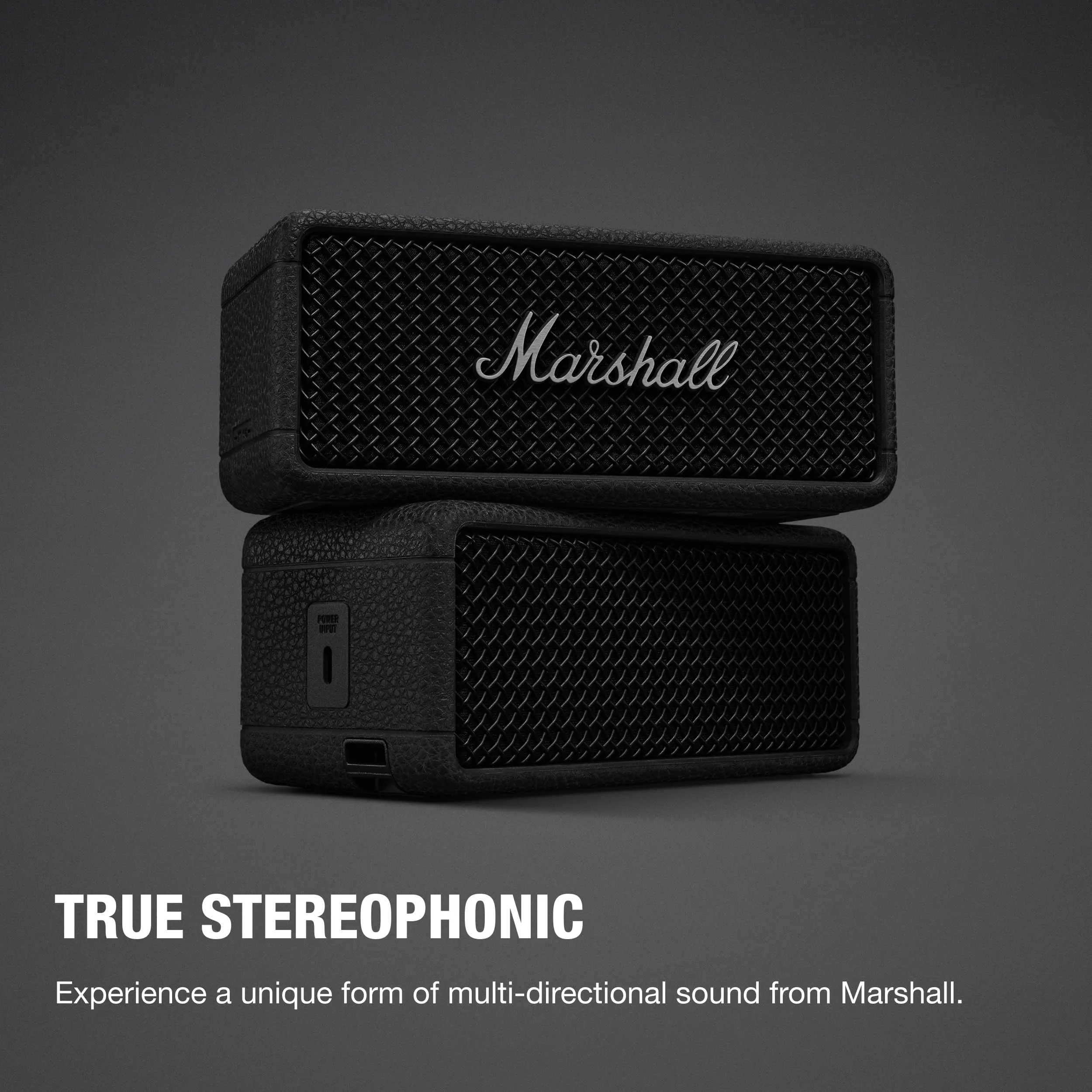 Marshall Emberton III Altoparlanti Bluetooth Portatili IP67 - Nero e Argento - immagine 3