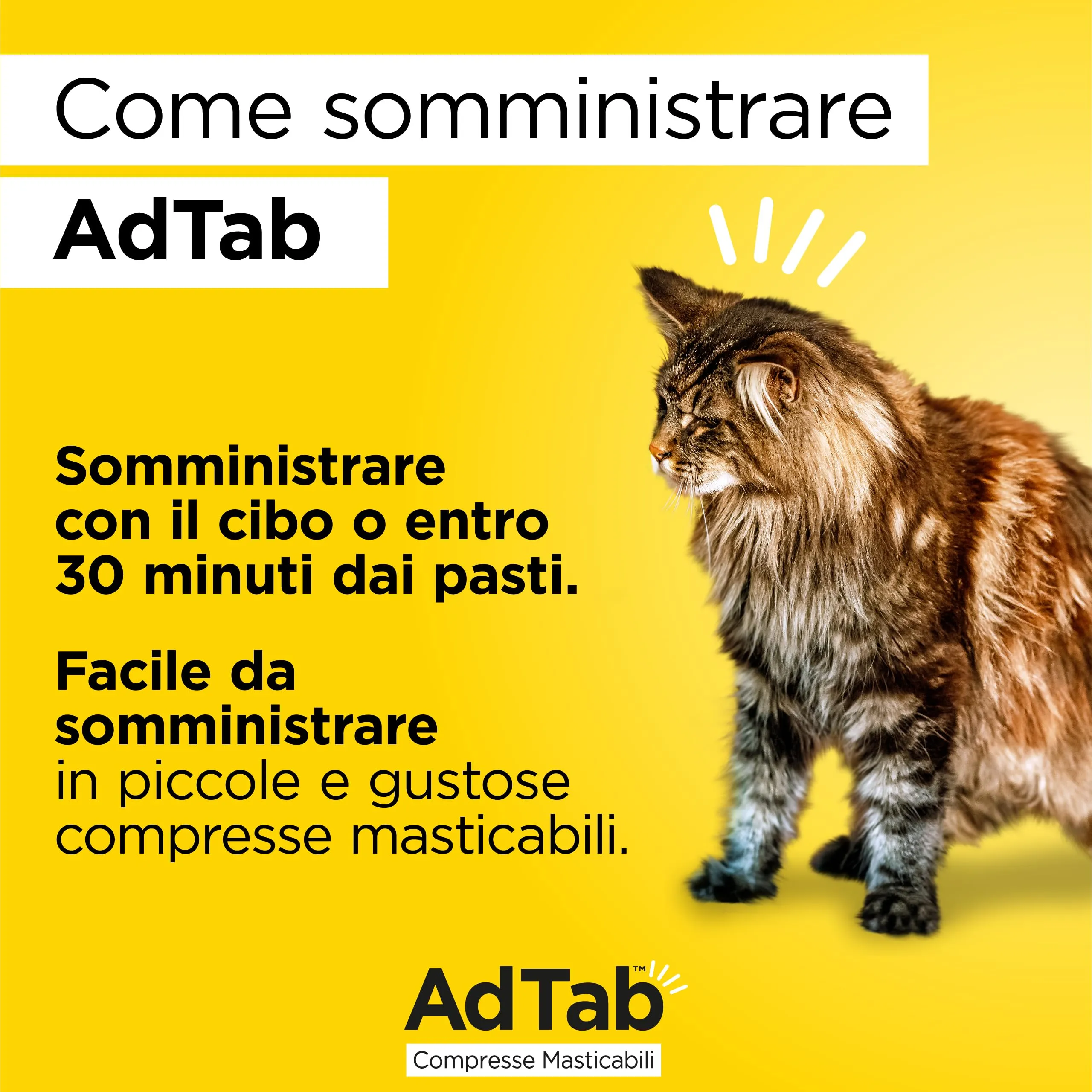 AdTab Compresse Masticabili per gatti 0,5-2,0 kg - 3 compresse - immagine 3