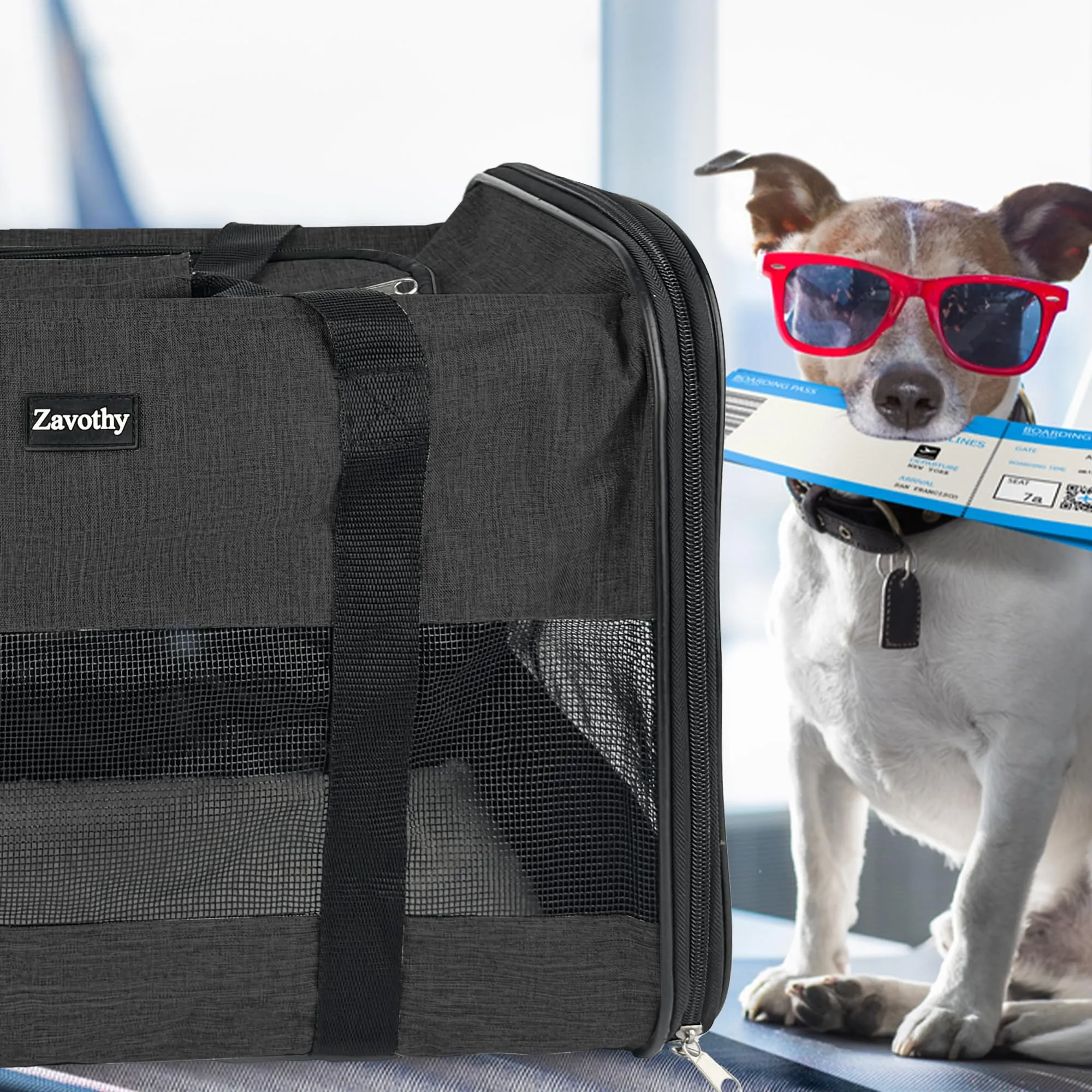 Zavothy Borsa per il trasporto per gatti e cani, traspirante e pieghevole, con tracolla regolabile e materasso in peluche rimovibile, Nero, L - immagine 9