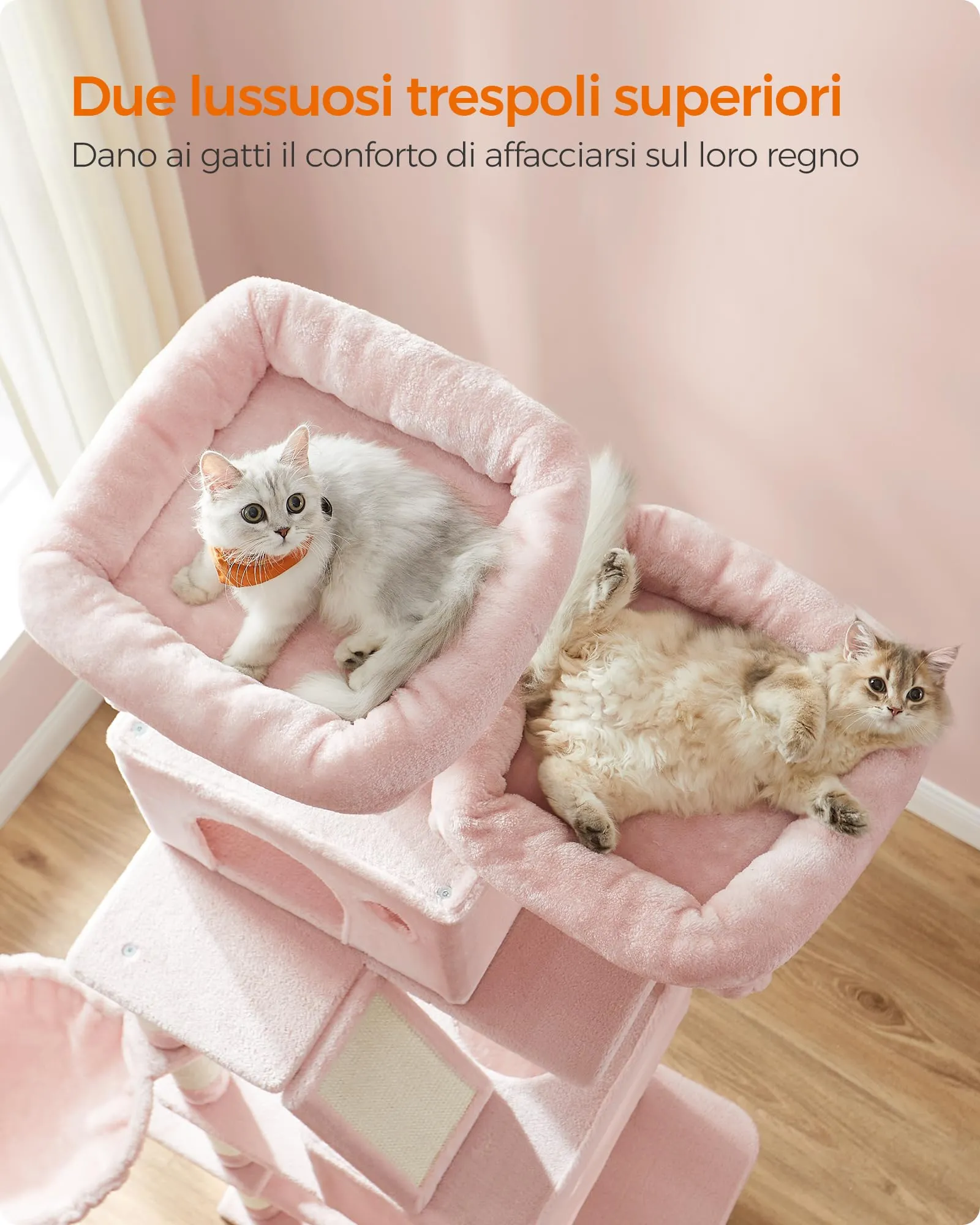 Feandrea Albero per Gatti, 5 Livelli, Tiragraffi, Alto 203,5 cm - immagine 4