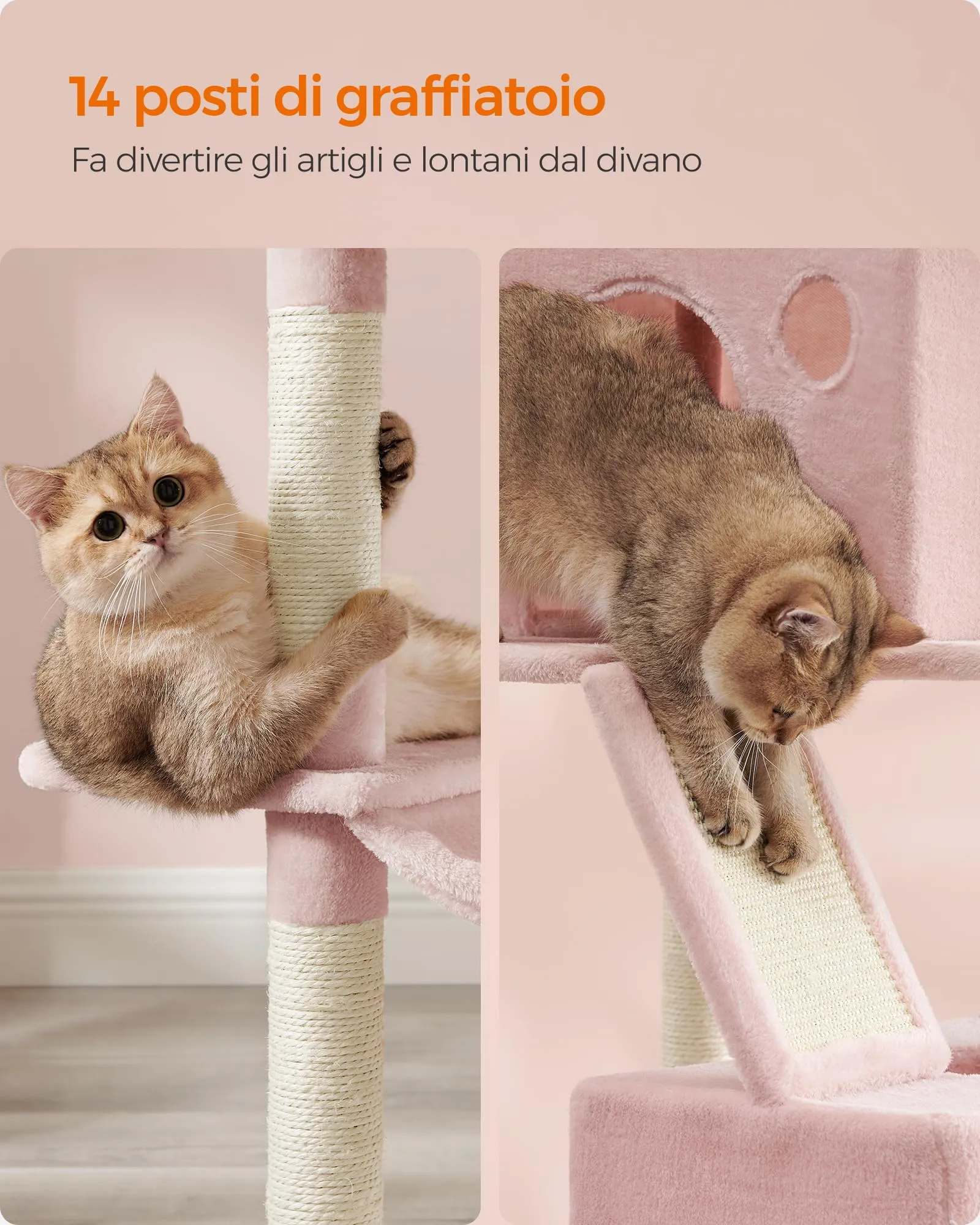 Feandrea Albero per Gatti, 5 Livelli, Tiragraffi, Alto 203,5 cm - immagine 6