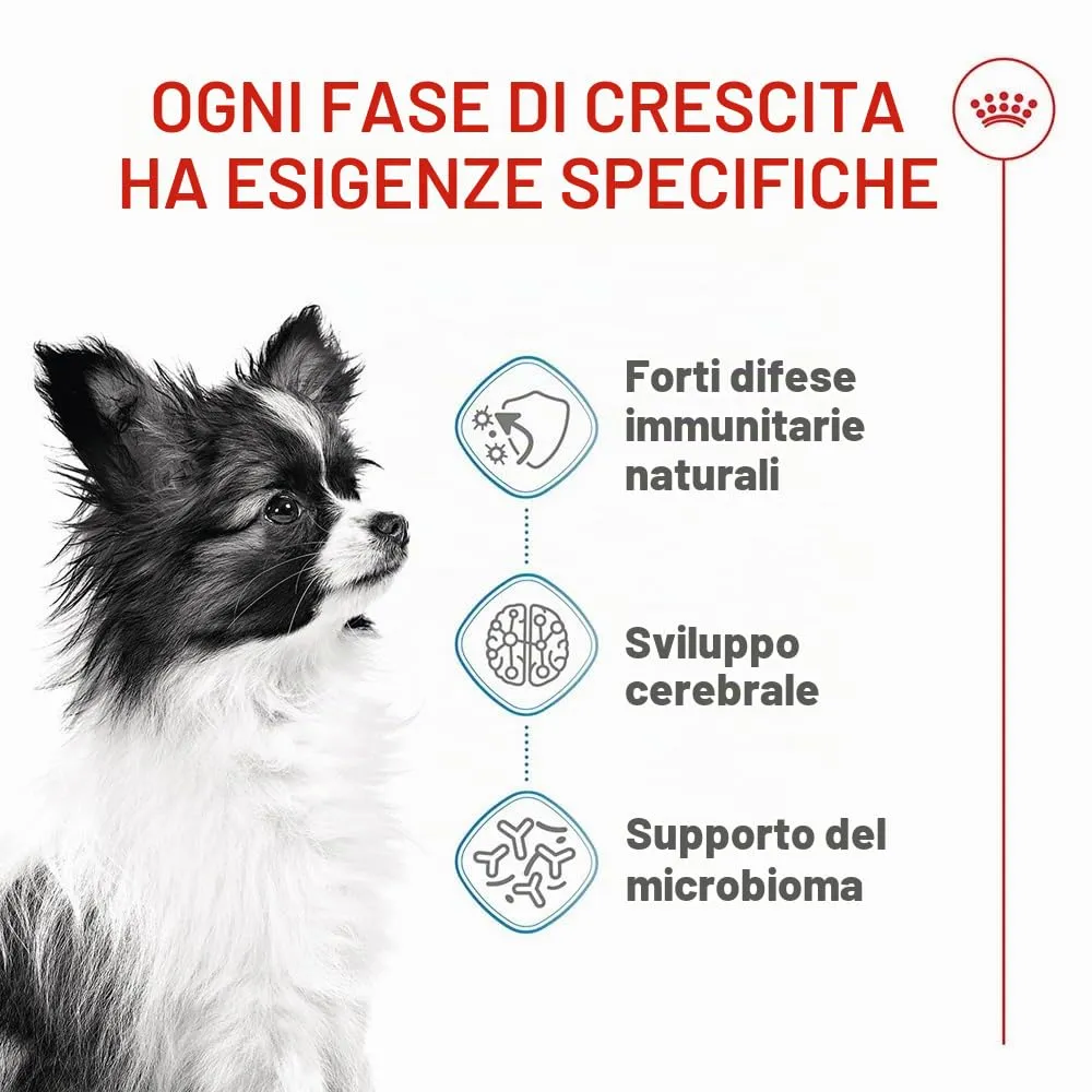 Royal Canin X-Small Puppy, 500 g - immagine 2