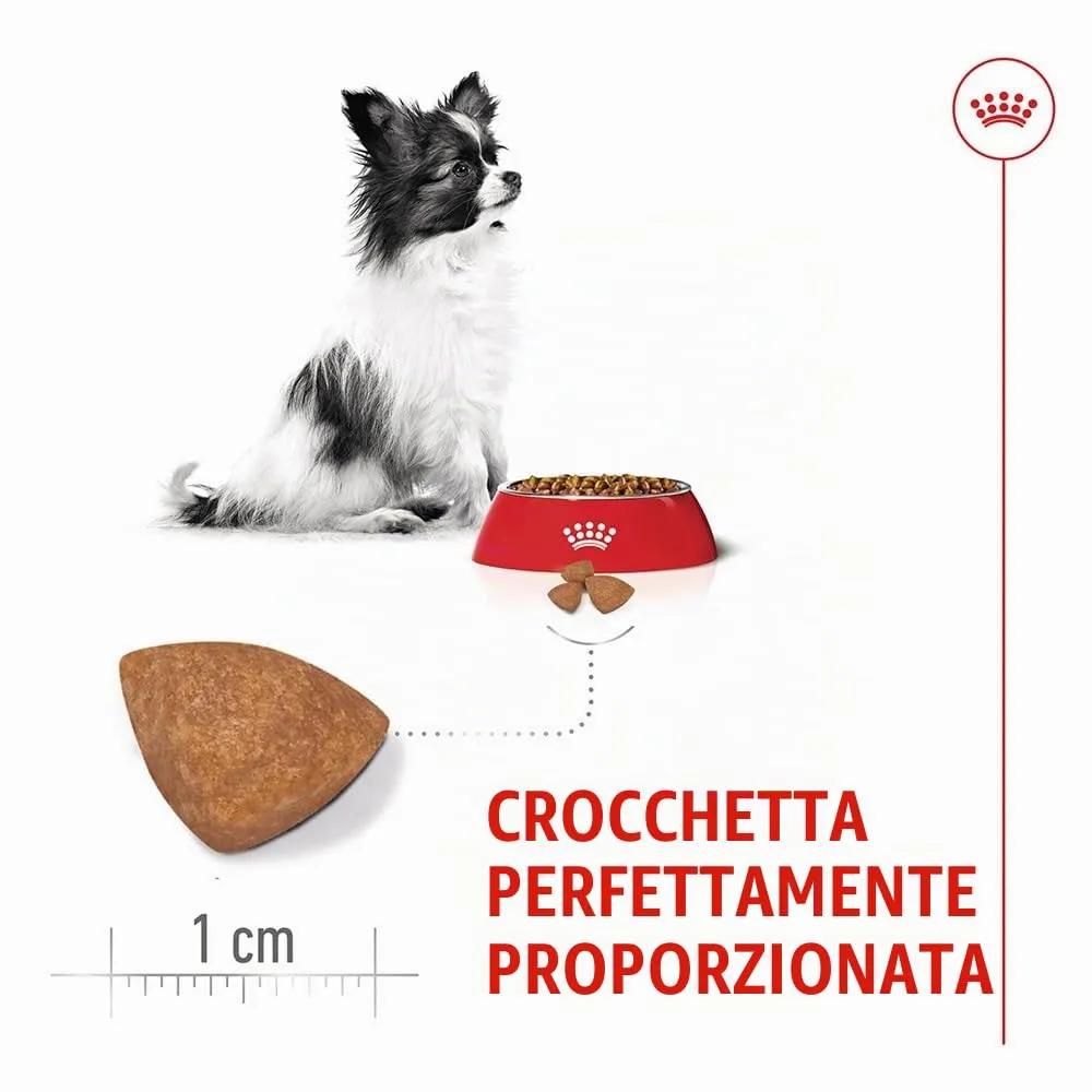 Royal Canin X-Small Puppy, 500 g - immagine 4