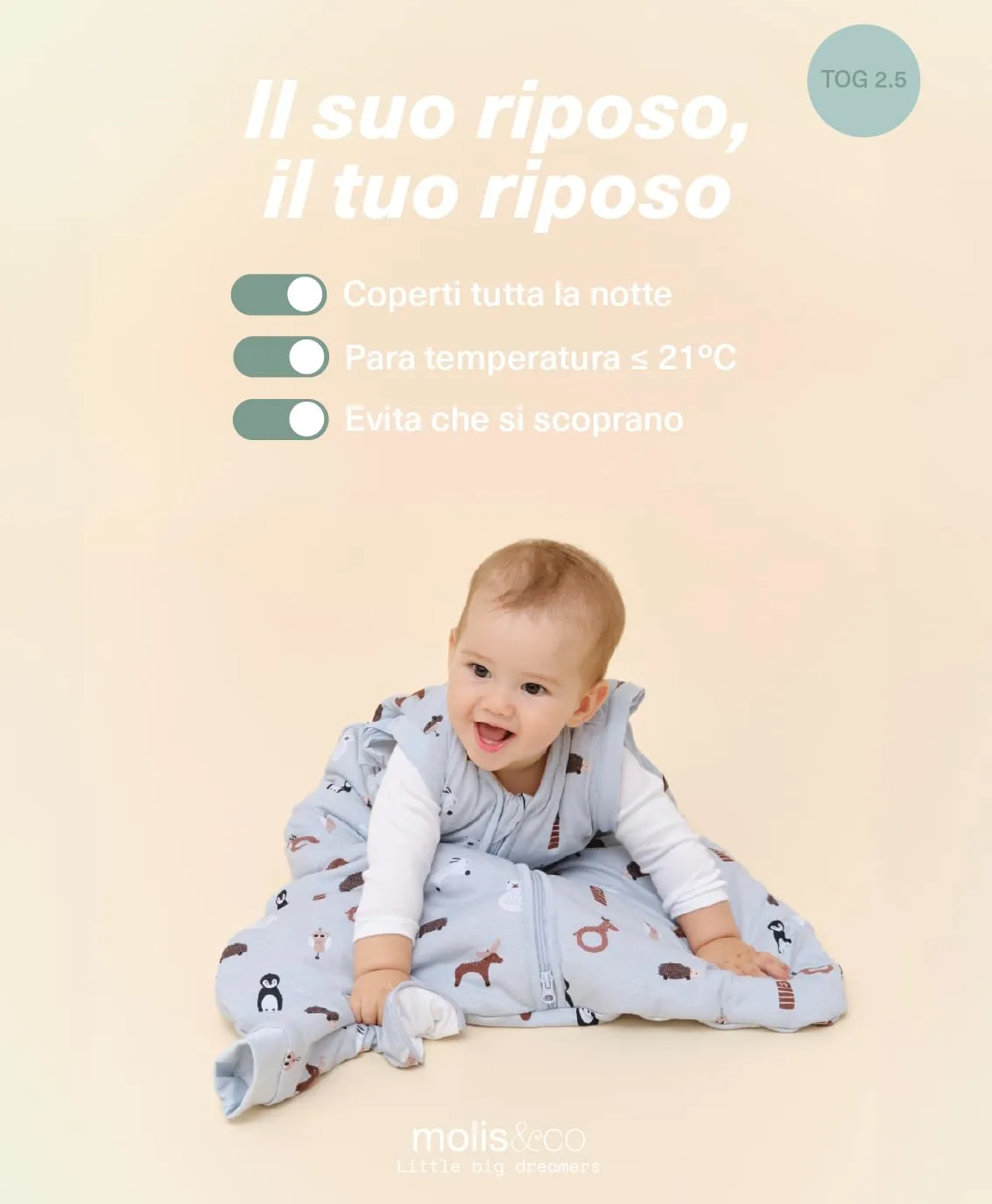 molis & co Sacco nanna maniche staccabili 2.5 tog, 100% Cotone Oeko-TEX 100, Winter Animals (12-18 mesi) - immagine 5