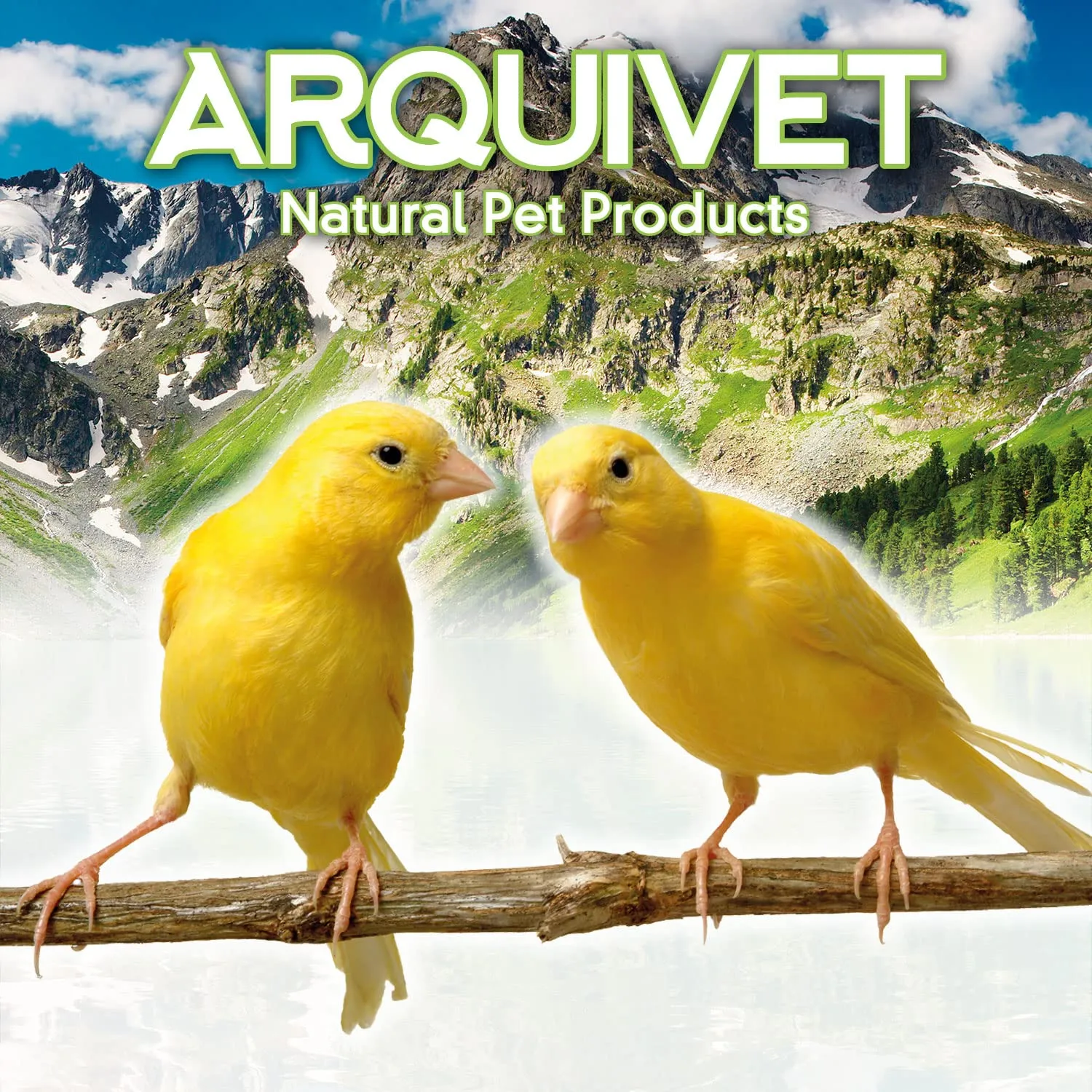 Arquivet Abbeveratoio in plastica per uccelli, 13 cm, 85 cc - immagine 3