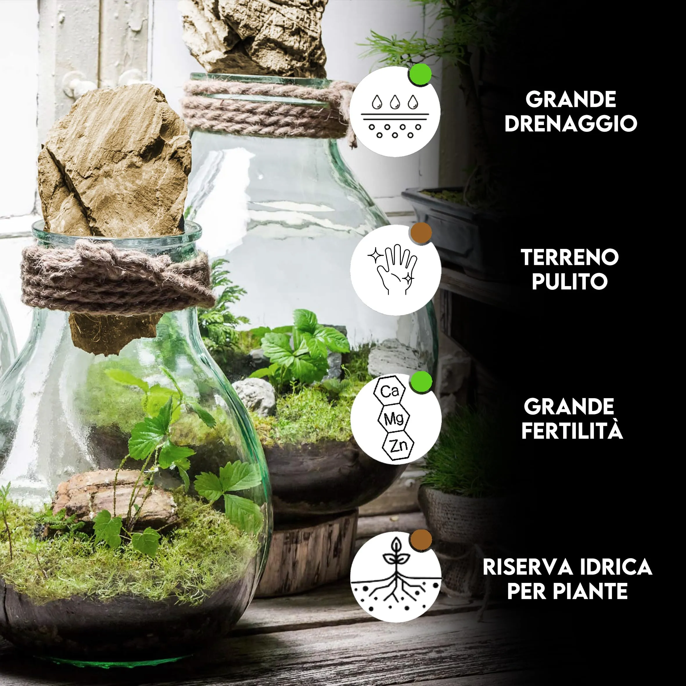 ZOMA Substrato per Terrario Piante con Humus, Inerti e Carbone Attivo, 2l - immagine 2