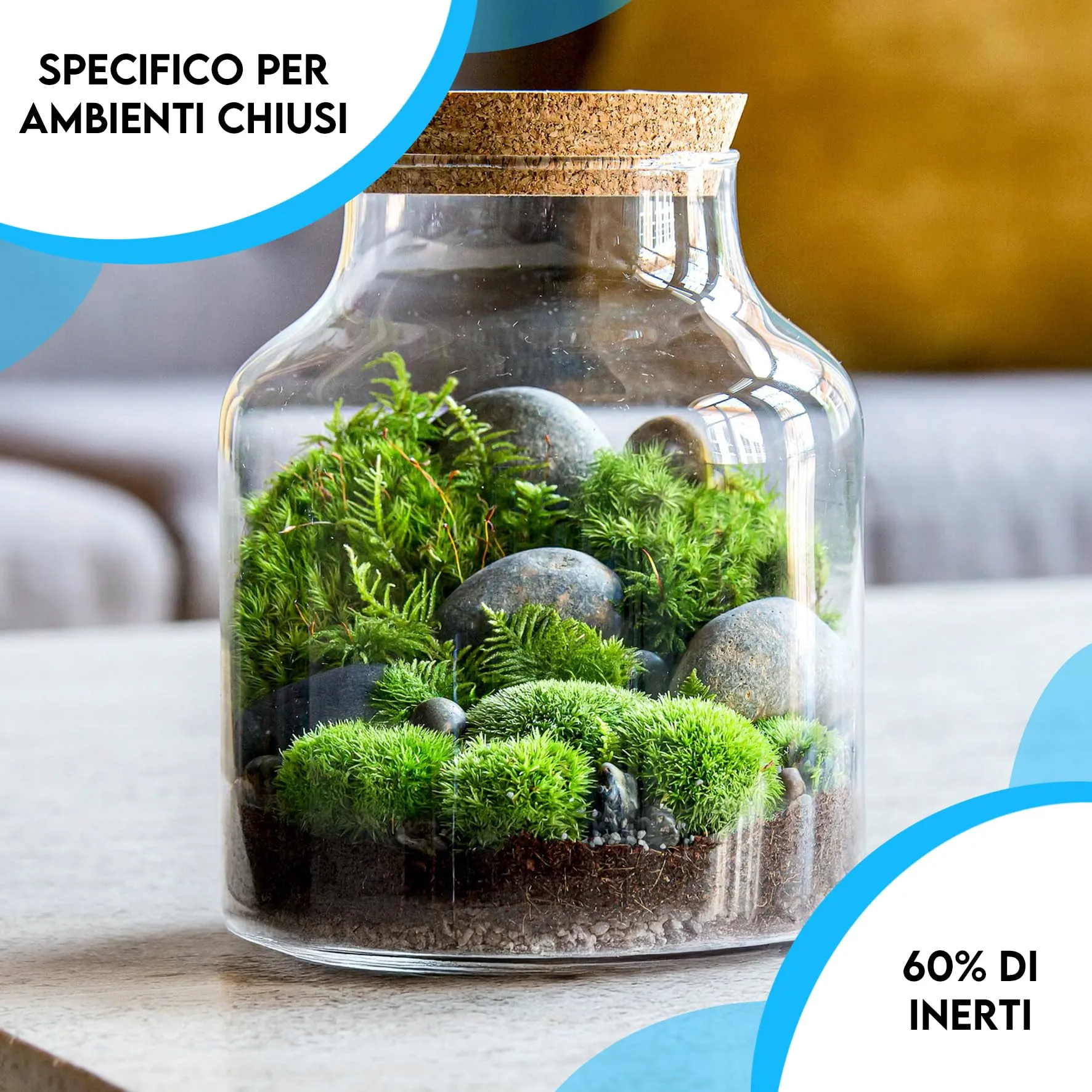 ZOMA Substrato per Terrario Piante con Humus, Inerti e Carbone Attivo, 2l - immagine 4