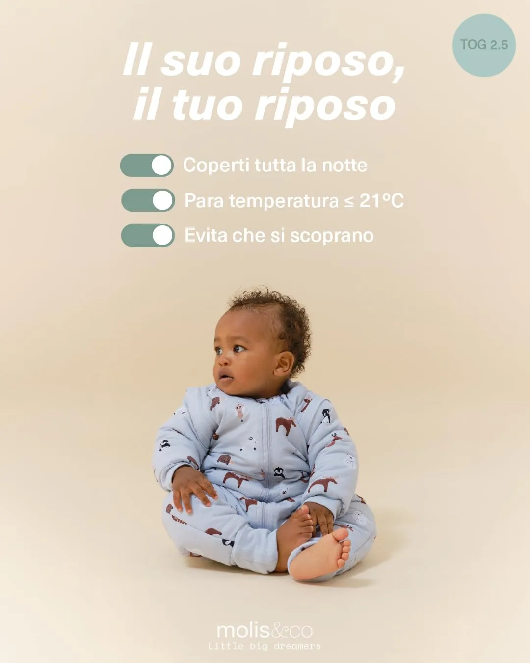 molis & co Sacco Nanna con piedini, maniche staccabili e calzini, 2.5 tog, 100% Cotone Oeko-TEX 100, Winter Animals, 1 anno - immagine 5