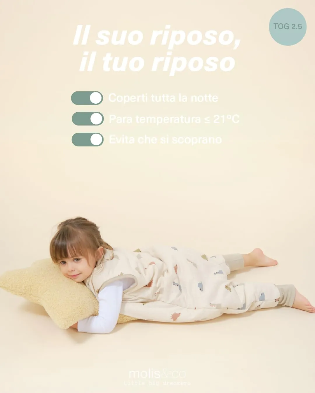 molis&co Sacco Nanna con Piedini Invernale 2.5 TOG, 100% Cotone Oeko-Tex 100, Dinos, 3 Anni - immagine 6