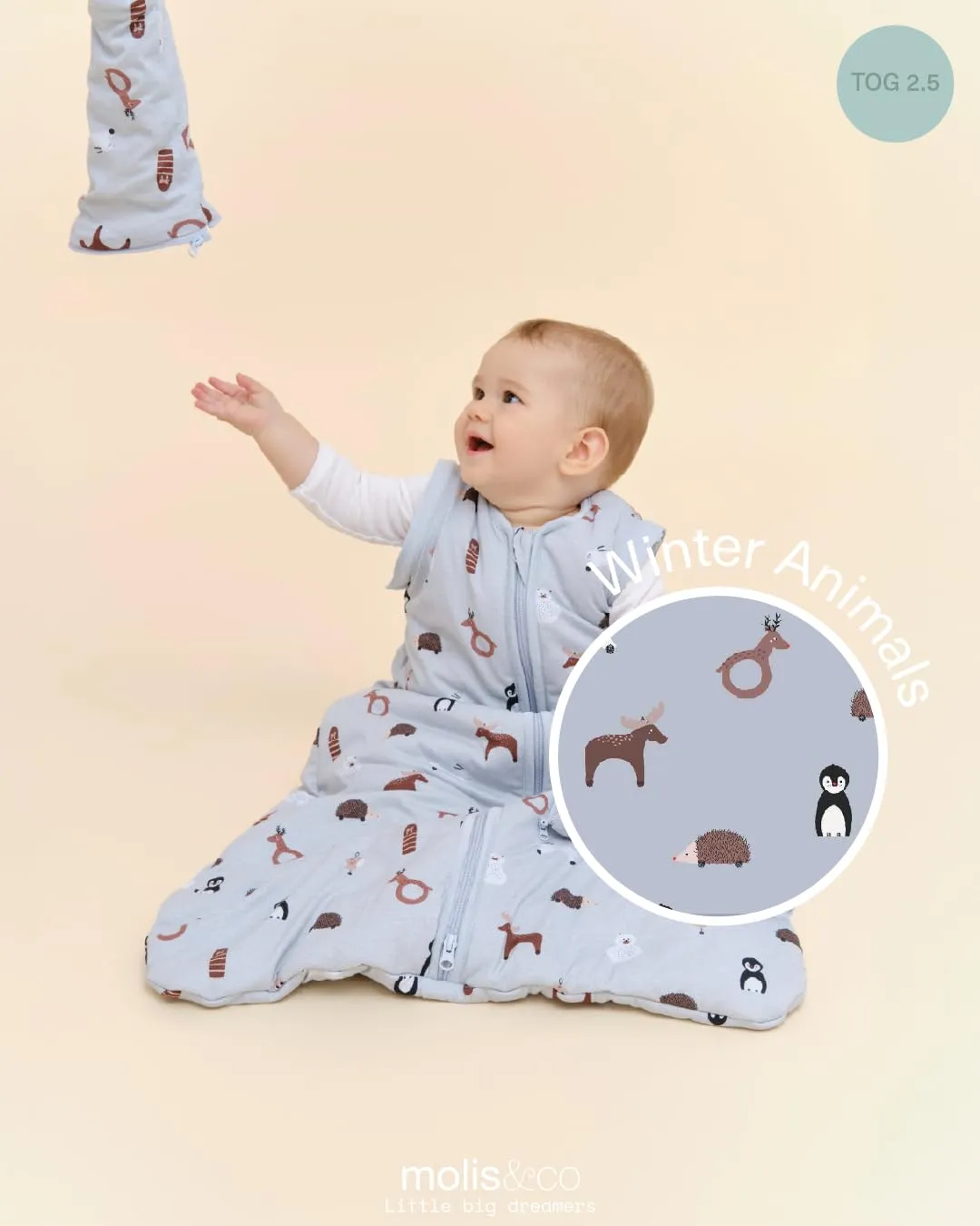 molis & co Sacco Nanna con Maniche Staccabili, 2.5 TOG, 100% Cotone Oeko-Tex 100, Winter Animals, 6-12 mesi - immagine 4