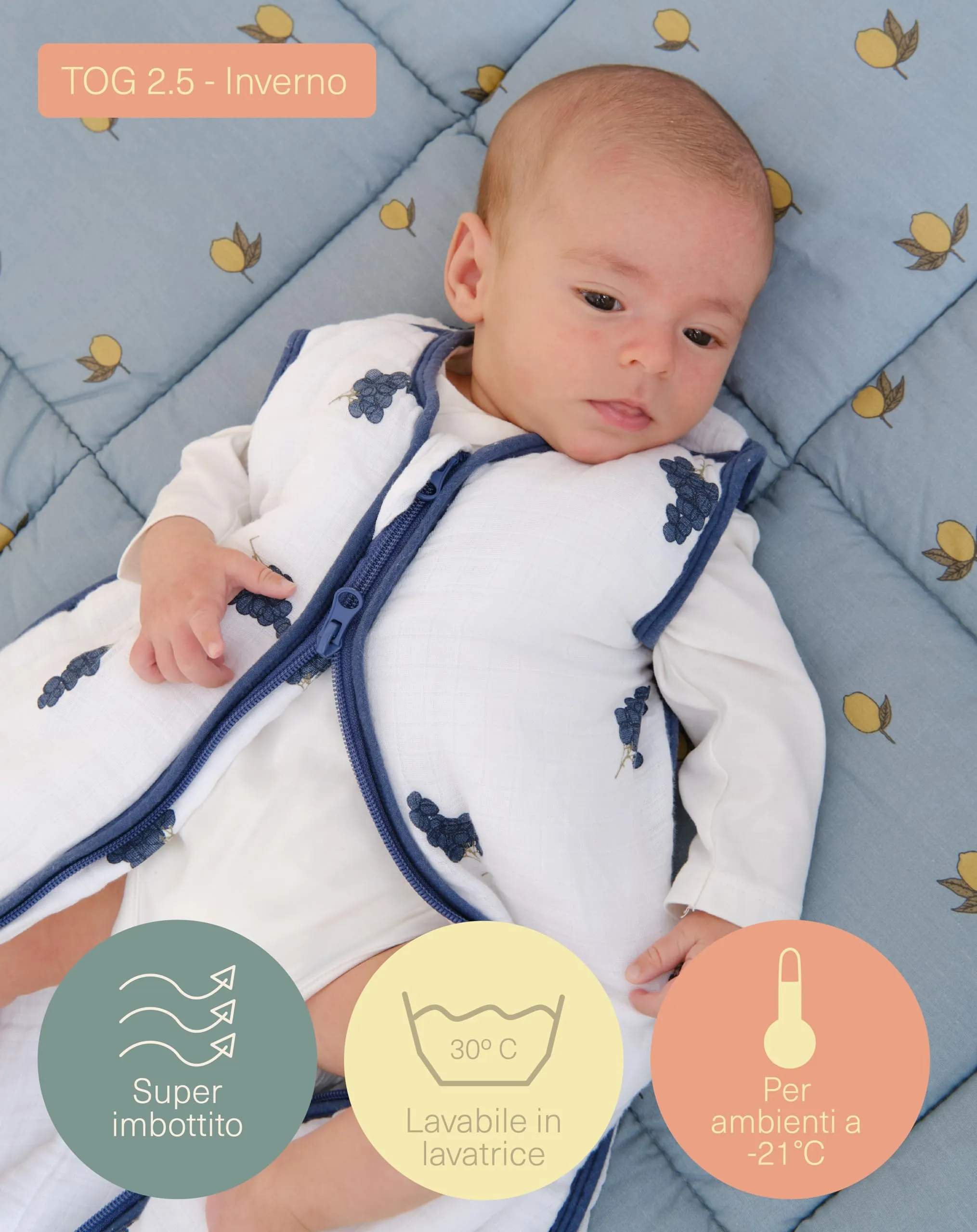 molis & co Sacco Nanna 2.5 TOG per Neonati 18-36 mesi (95 cm) in Mussola di Bambu - Grapes - immagine 4