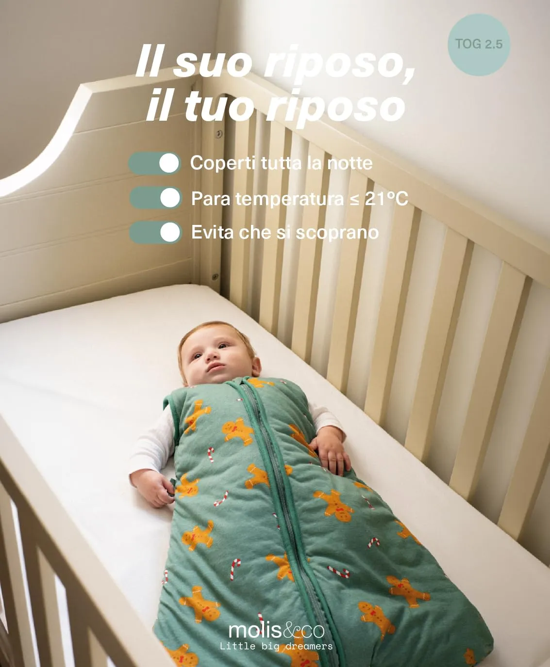 molis & co Sacco nanna per neonato, 2,5 Tog, 60 cm (0 mesi), 100% cotone Oeko-Tex 100, pan di zenzero - immagine 5