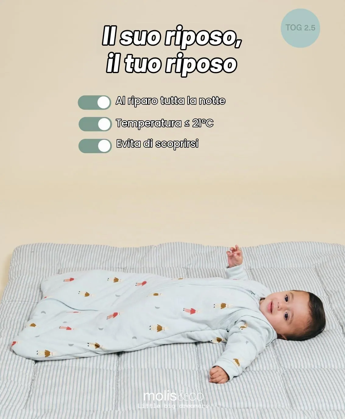 molis&co Sacco Nanna con Maniche Staccabili per Neonati e Bambini, 2.5 TOG, 100% Cotone Oeko-TEX 100, Sleepy Bunnies, 0-6 mesi - immagine 5