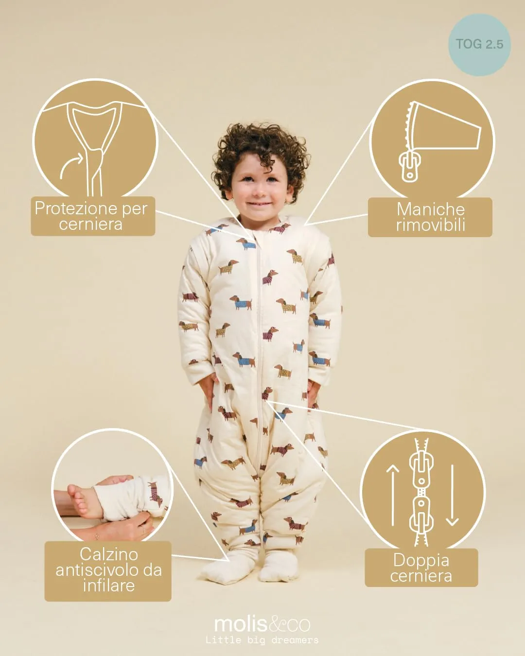 molis&co Sacco Nanna con piedini, maniche staccabili e calzini, 2.5 TOG, 100% Cotone Oeko-TEX 100, Fancy Teckel, 3 anni - immagine 3