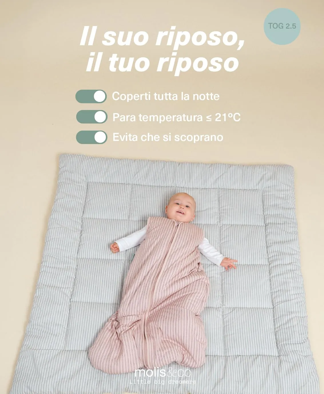 molis & co Sacco Nanna Invernale per Neonati e Bambini 2.5 TOG, 100% Cotone Oeko-TEX 100, Navy & Pink Stripes, 6-18 mesi - immagine 5