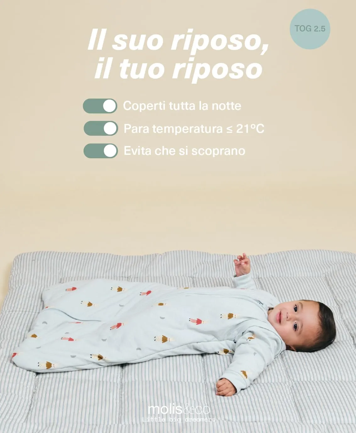 molis & co Sacco Nanna con Maniche Staccabili 2.5 TOG, 100% Cotone Oeko-TEX 100, Sleepy Bunnies, 12-18 mesi - immagine 5