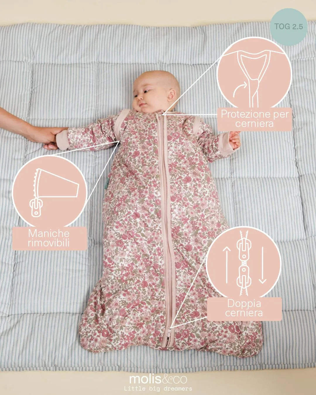 molis & co Sacco Nanna con Maniche e Calzini Staccabili 2.5 TOG (Winter Commelina, 6-12 mesi) - immagine 3