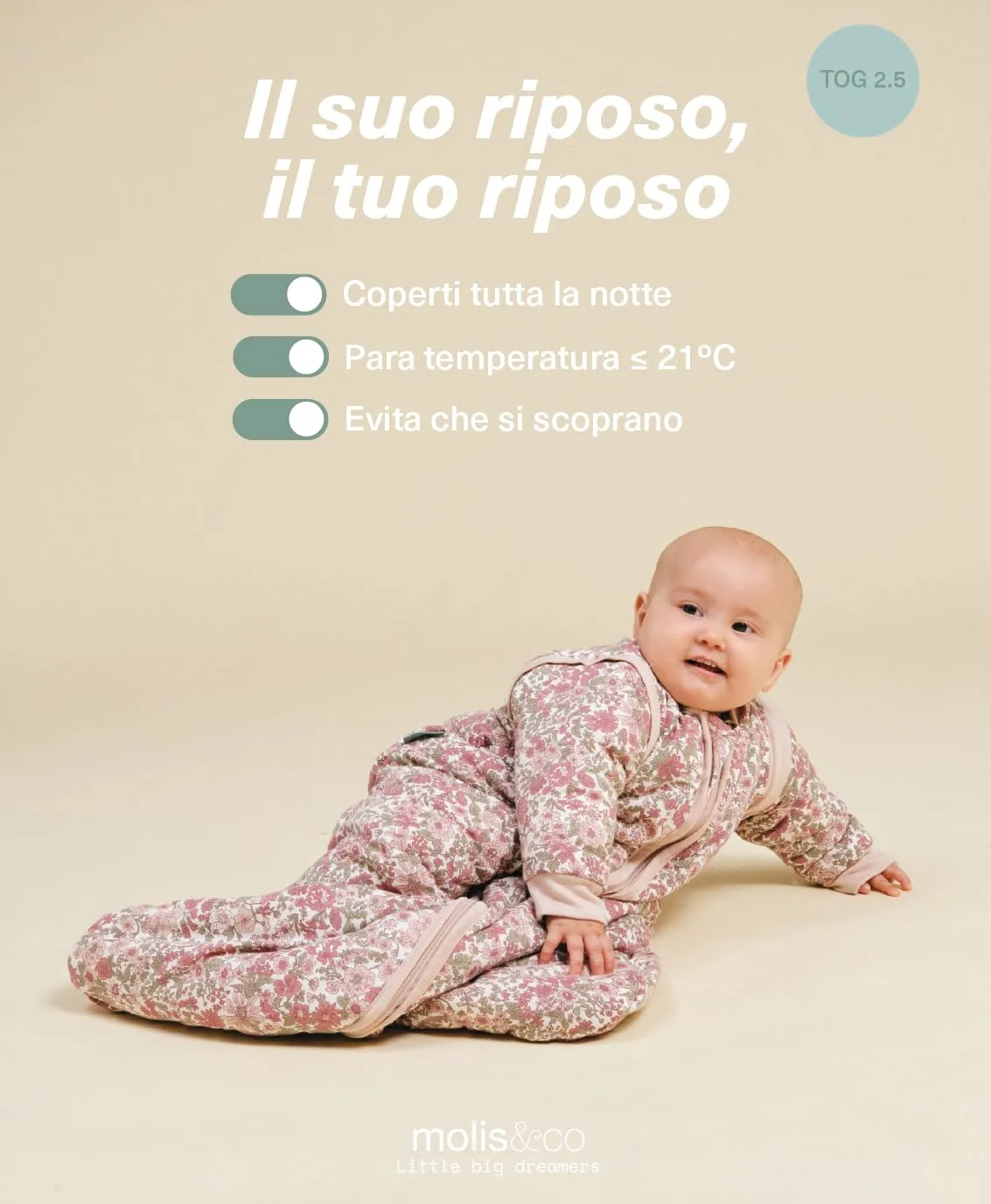 molis & co Sacco Nanna con Maniche e Calzini Staccabili 2.5 TOG (Winter Commelina, 6-12 mesi) - immagine 5