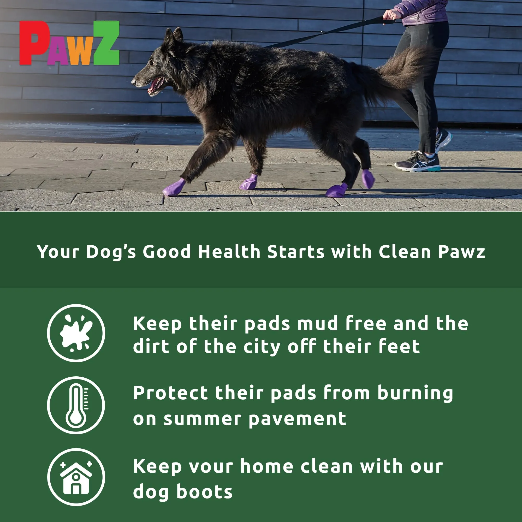Pawz Scarpette Colorate, XL - immagine 4