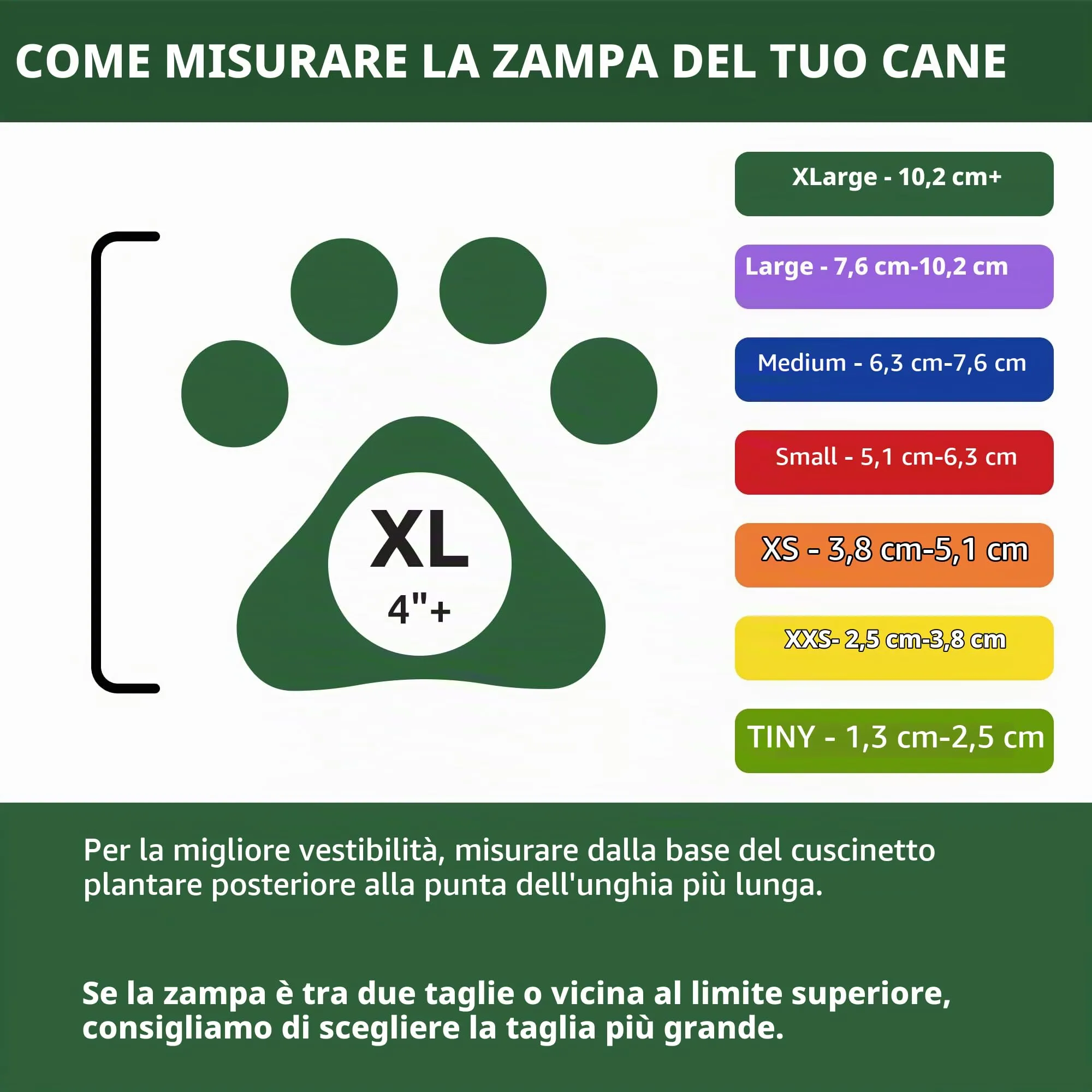 Pawz Scarpette Colorate, XL - immagine 7