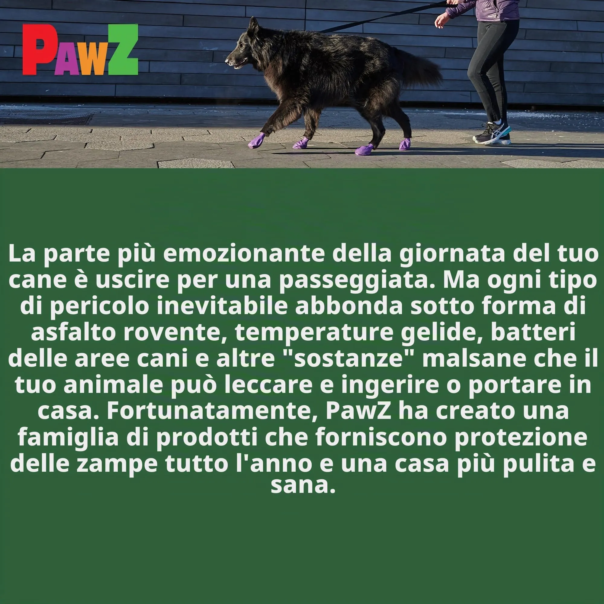 Pawz Scarpette Colorate, XL - immagine 8