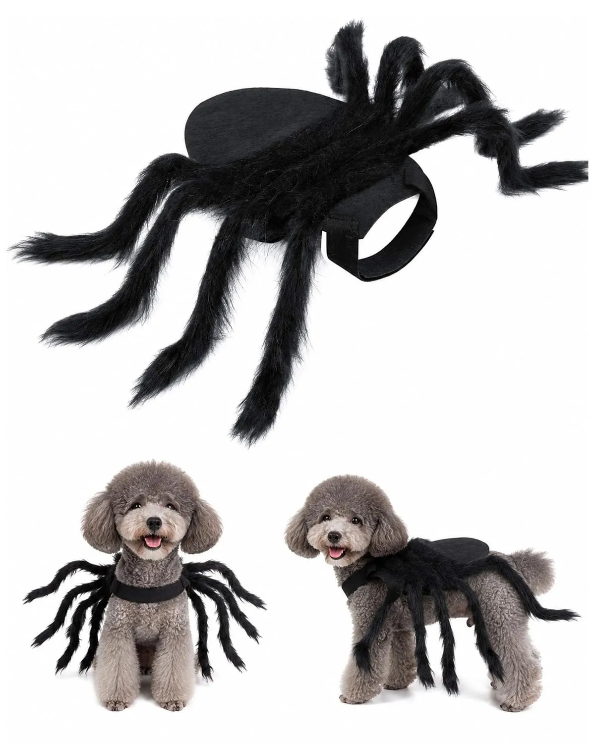 JIRVEX Costume a Forma di Ragno Nero per Cani e Gatti - immagine 1