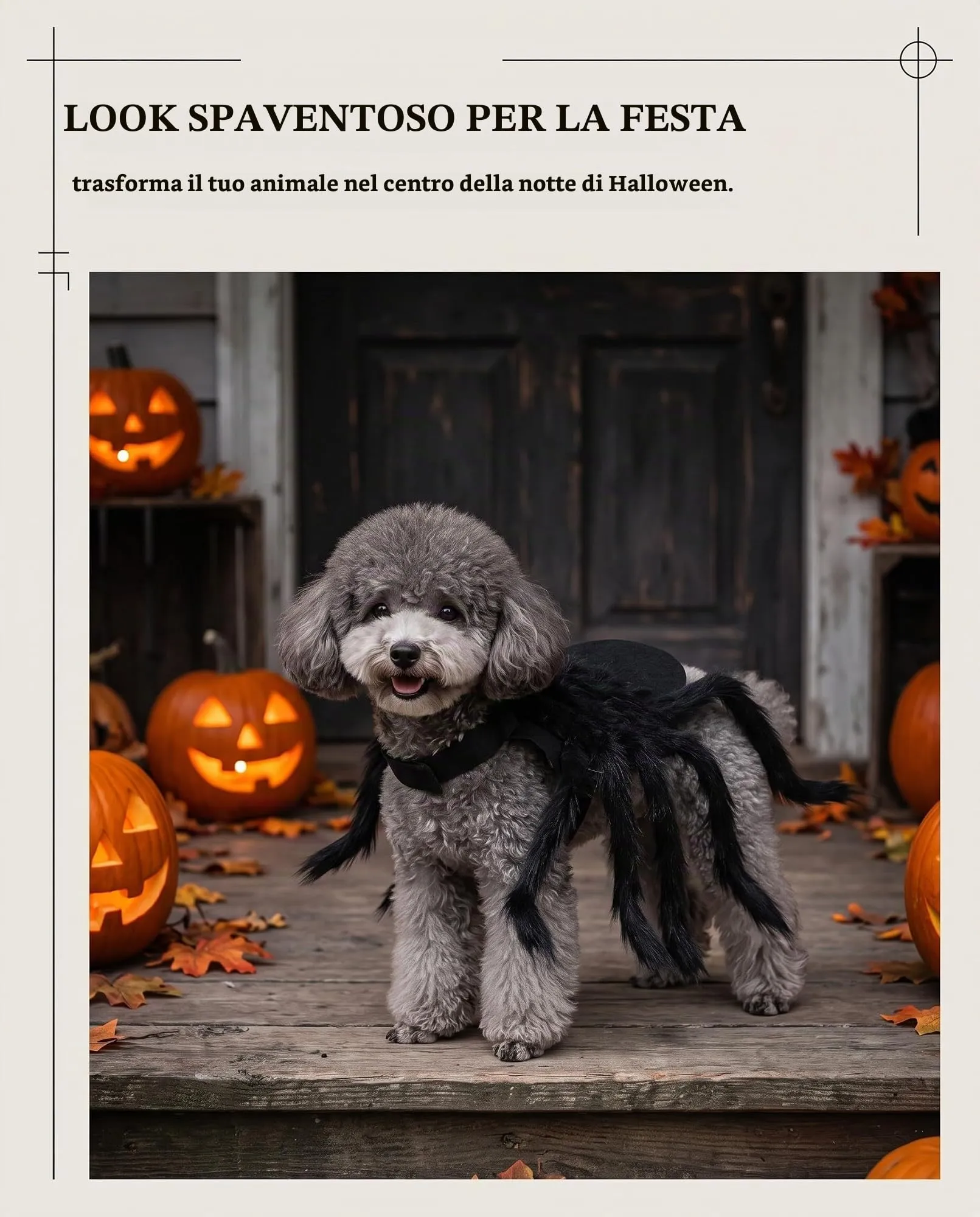JIRVEX Costume a Forma di Ragno Nero per Cani e Gatti - immagine 2