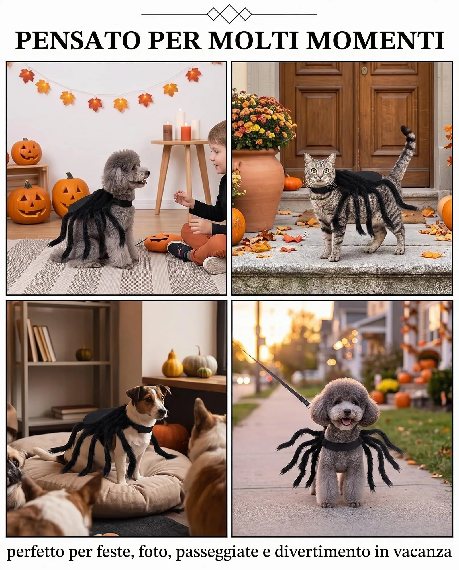 JIRVEX Costume a Forma di Ragno Nero per Cani e Gatti - immagine 4