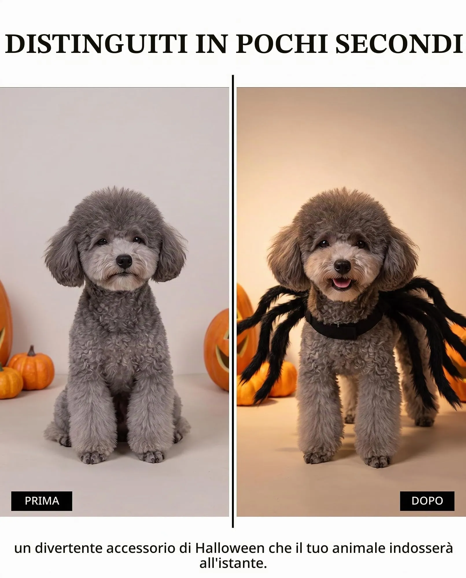 JIRVEX Costume a Forma di Ragno Nero per Cani e Gatti - immagine 5