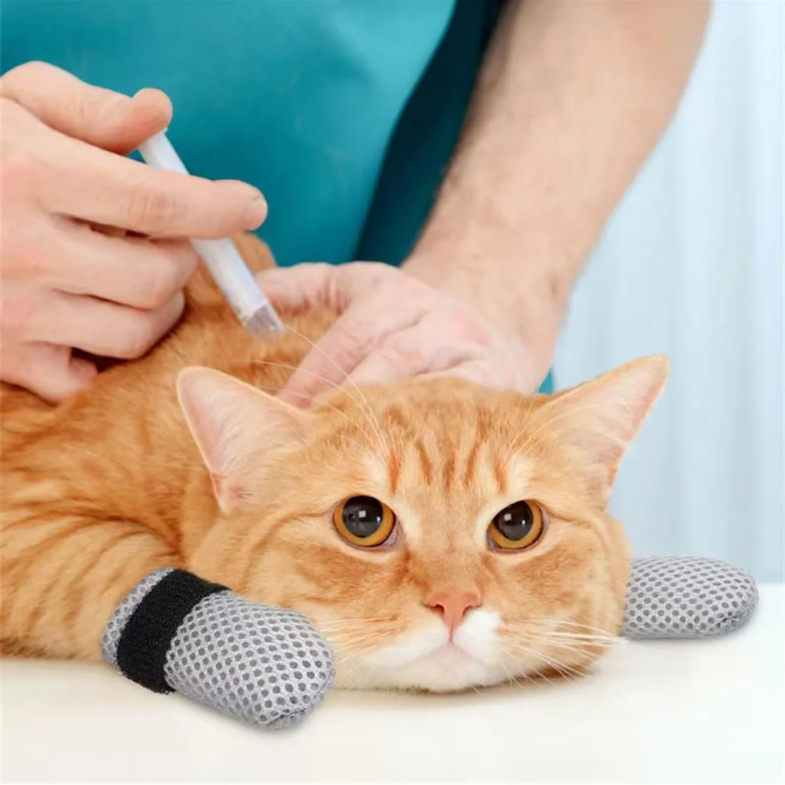 IKOPFLN Protezioni per zampe antigraffio per cani e gatti, regolabili in rete, taglia S - immagine 6