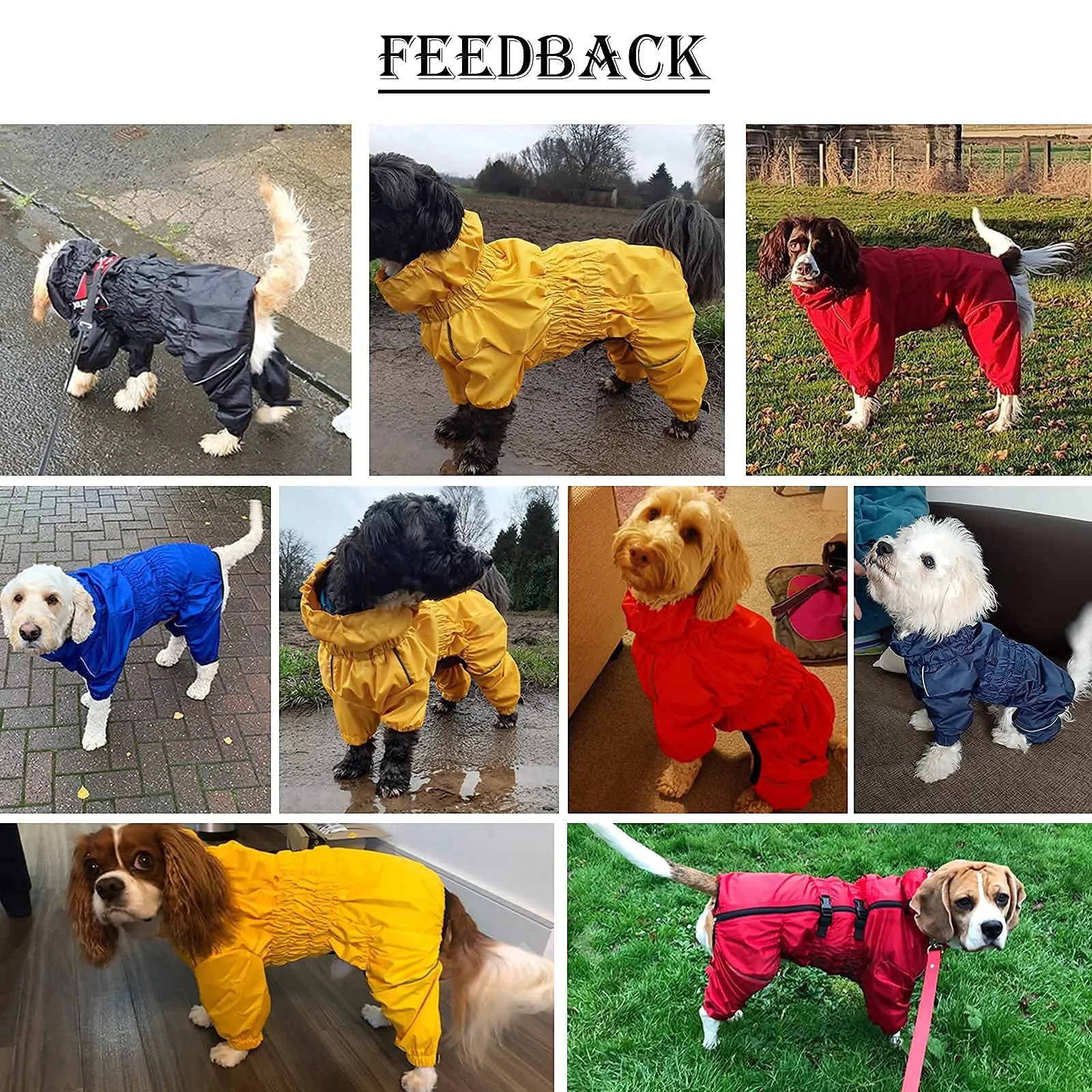 Morezi Cappottino Impermeabile per Cane, Lila, Small - immagine 2