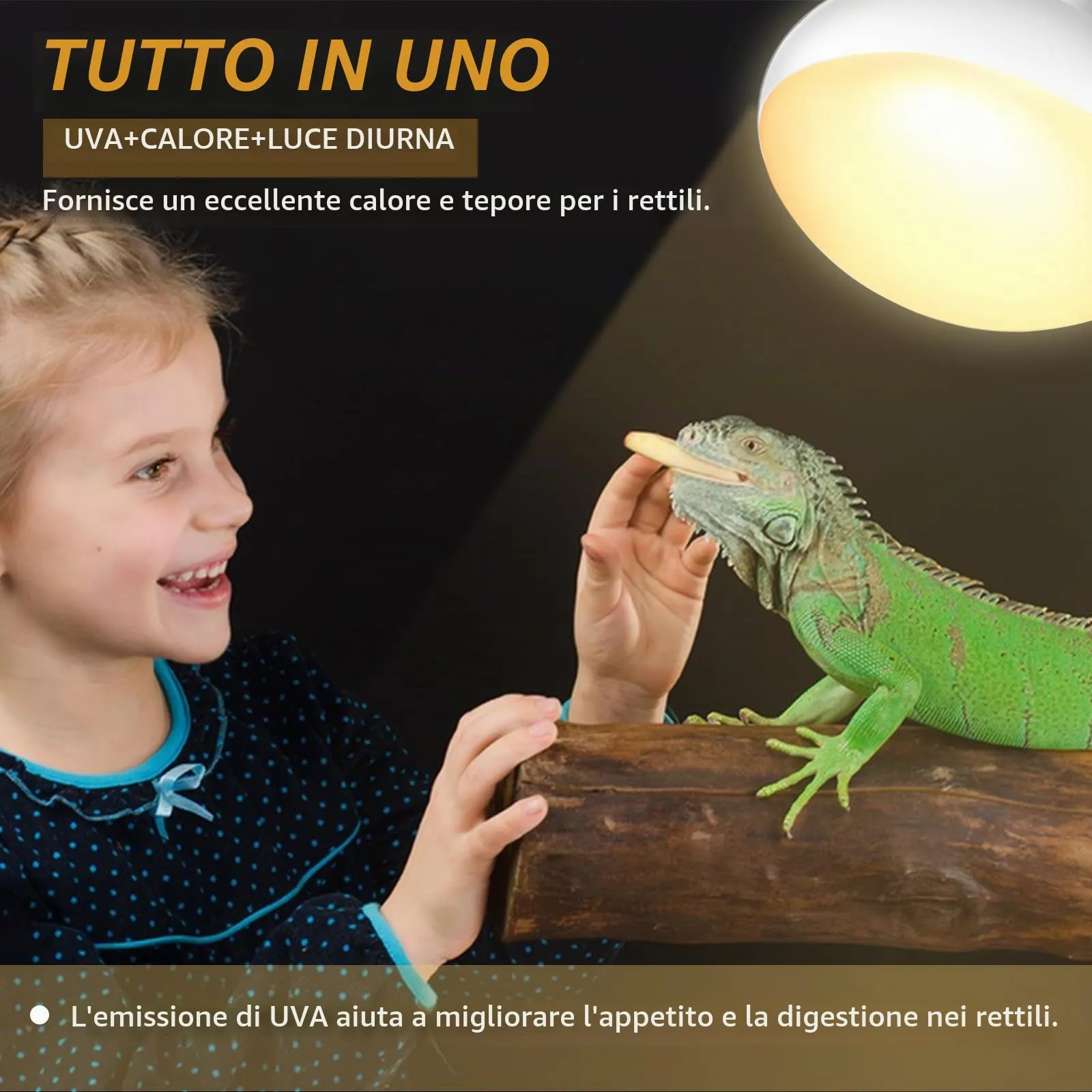 Caldarax Lampadina Riscaldante UVA Basking Spot E27 75W per Rettili e Anfibi, 2 Pezzi - immagine 4