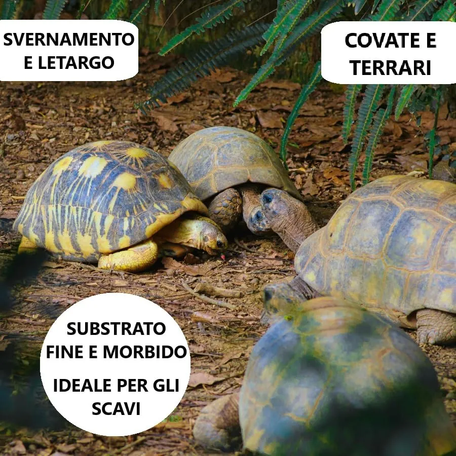 VerdeVita Substrato per Tartarughe da Terra e Terrari, 20 L - immagine 2