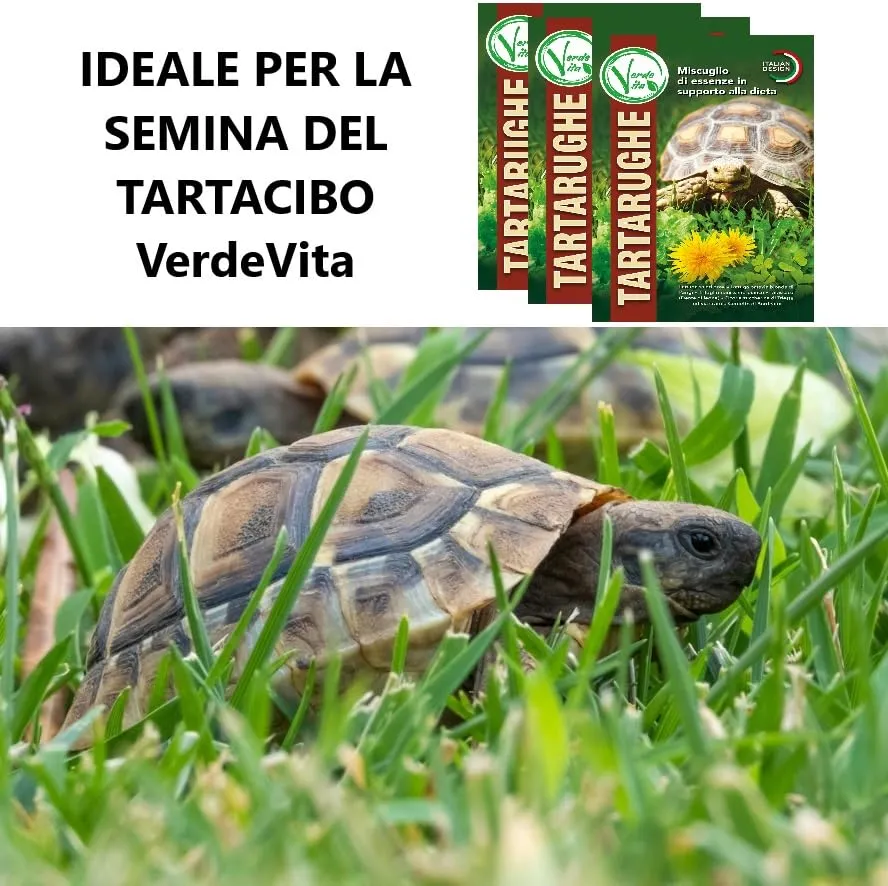 VerdeVita Substrato per Tartarughe da Terra e Terrari, 20 L - immagine 3