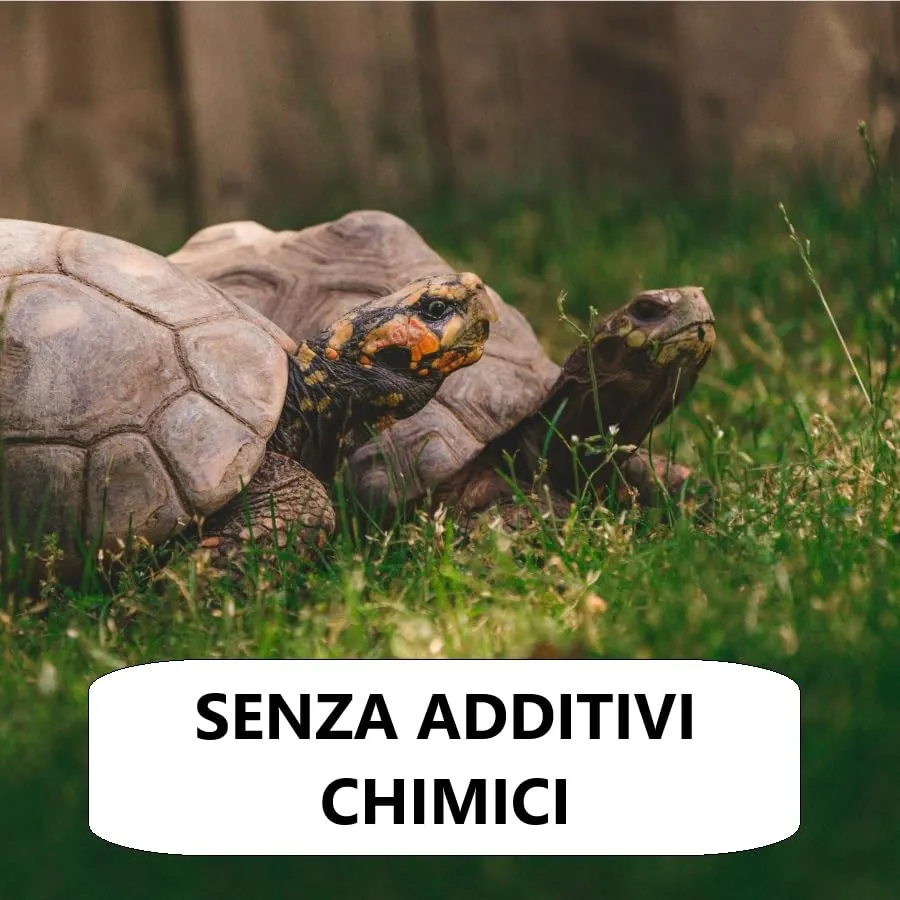 VerdeVita Substrato per Tartarughe da Terra e Terrari, 20 L - immagine 4