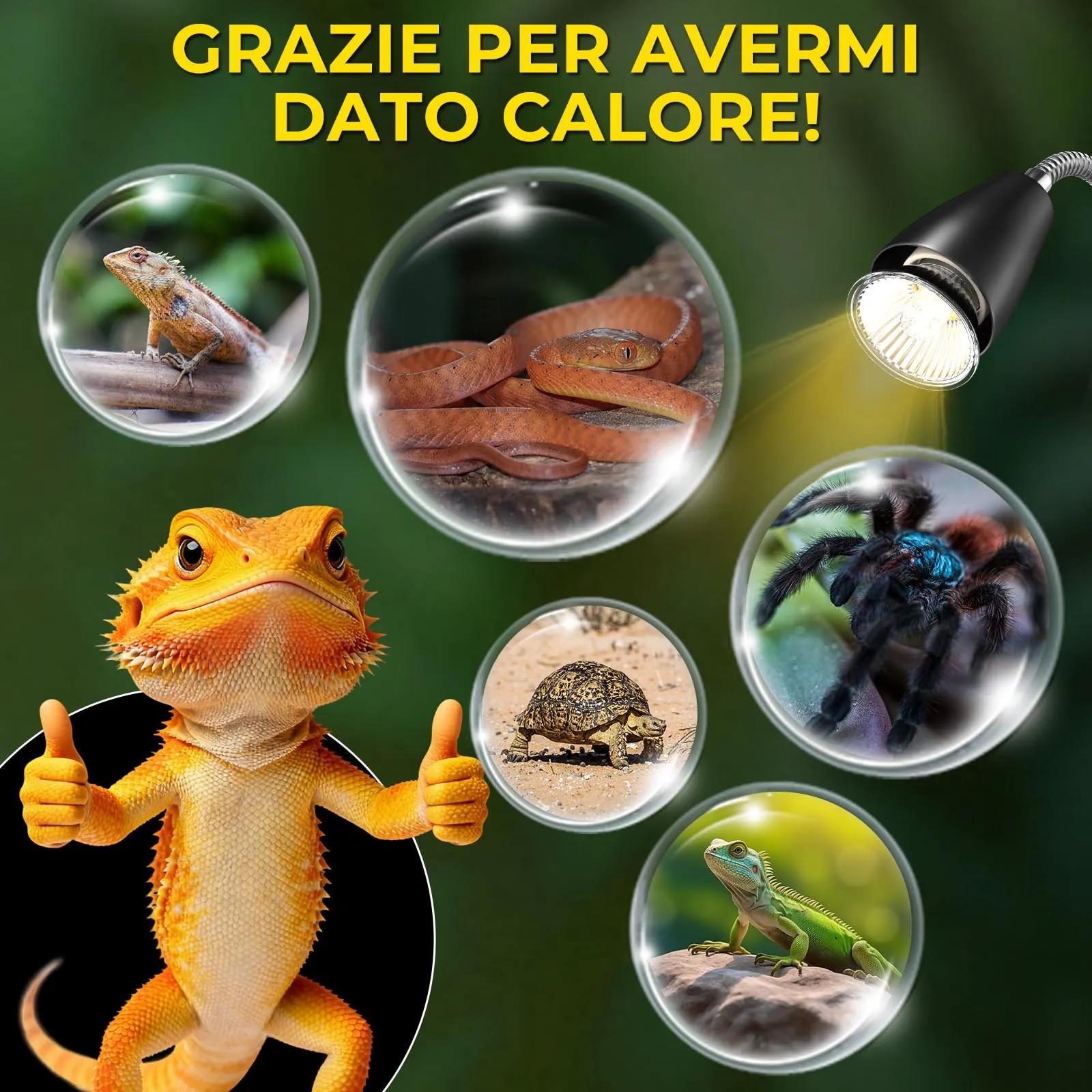 GlowUp Lampada Riscaldante per Rettili E27 con Timer, 50W, 2 Pezzi - immagine 7