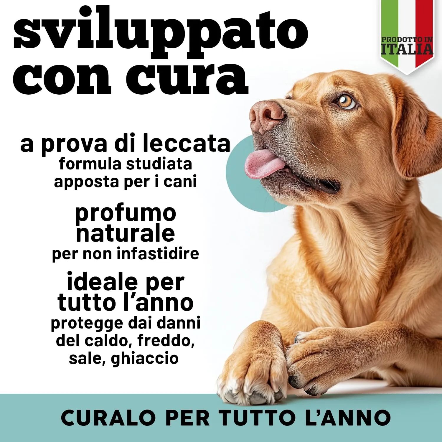 MyPetPrime Crema Polpastrelli e Naso per Cani Naturale, 50ml - immagine 3