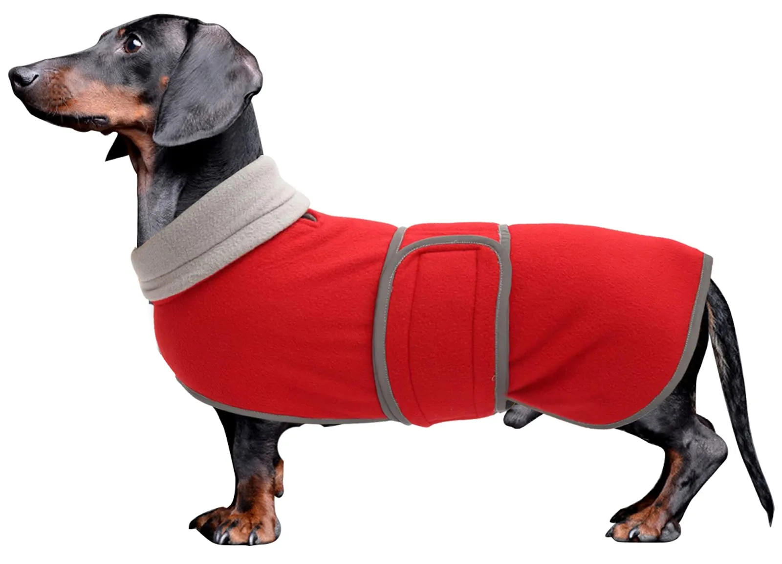 Morezi Cappotto Invernale con Pettorina per Cani, Rosso, S - immagine 1