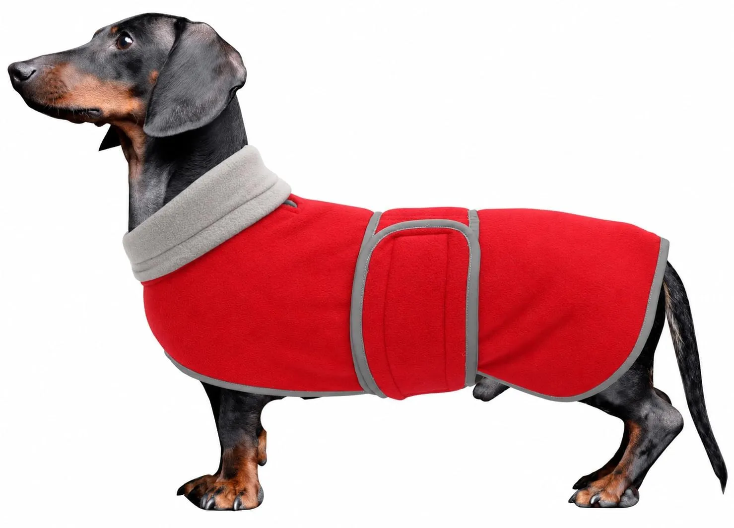 Morezi Giacca invernale per cani, rosso, XS - immagine 1