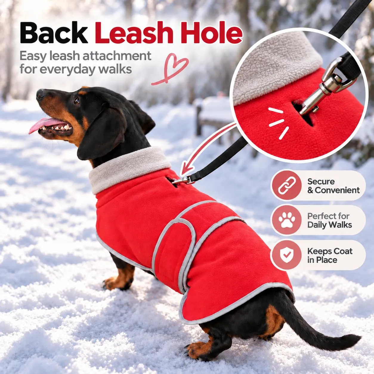 Morezi Giacca invernale per cani, rosso, XS - immagine 7